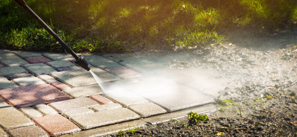 Best Animal Enclosure Cleaning  in Cheswold, DE